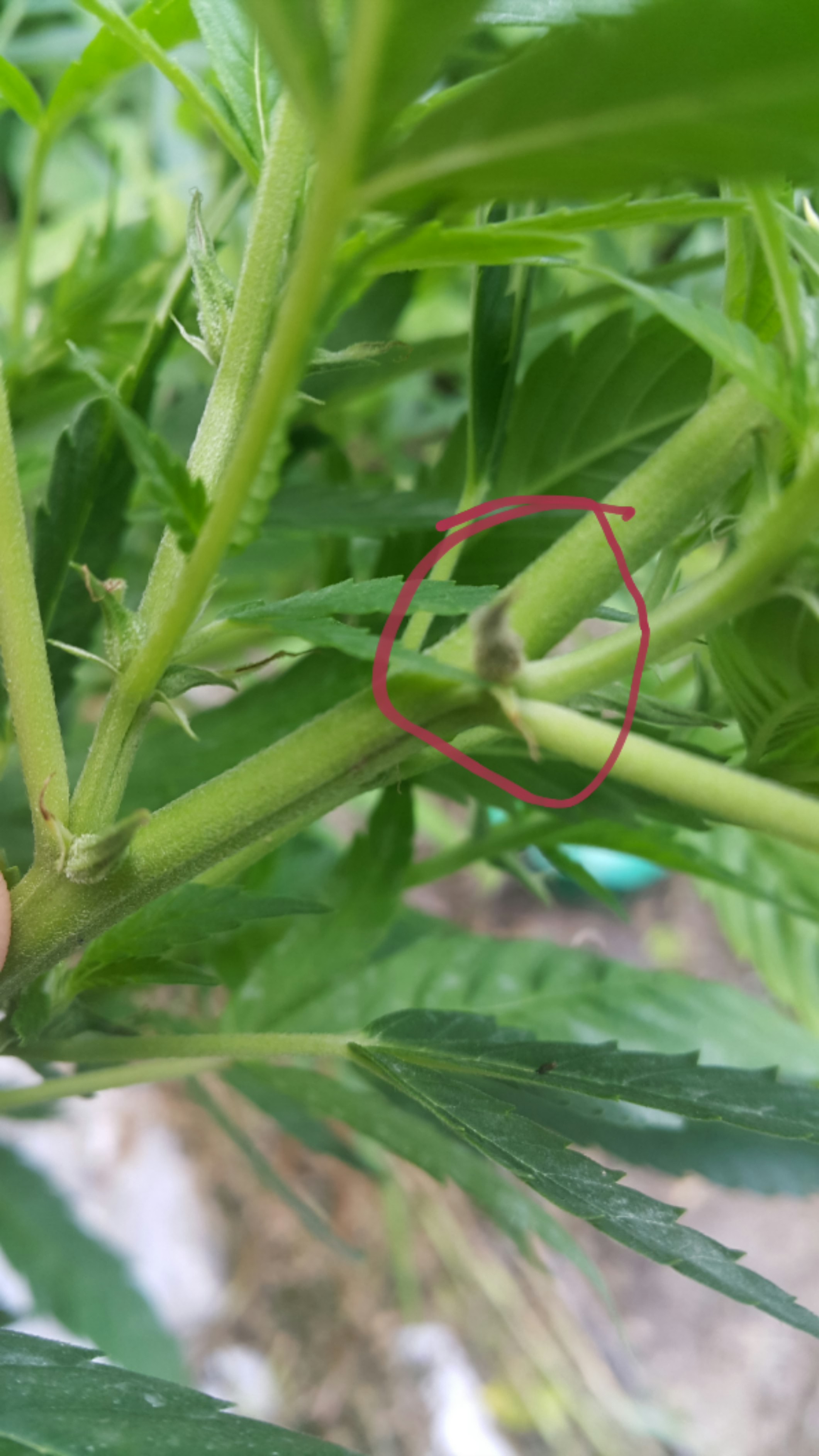 2016-07-27 16.19.18.jpg