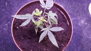 20160104_072216 [320x200].jpg