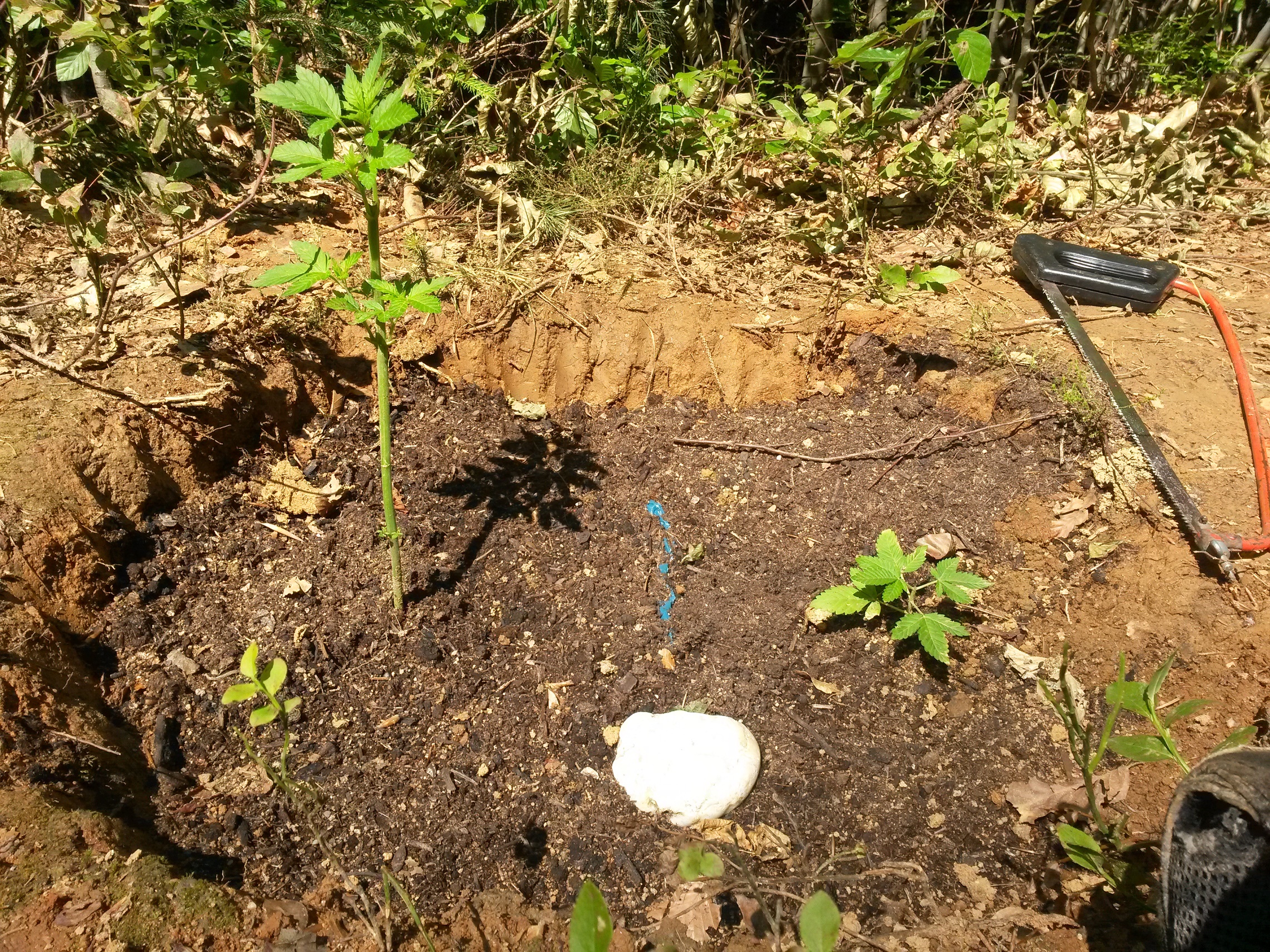 20160526_113659.jpg