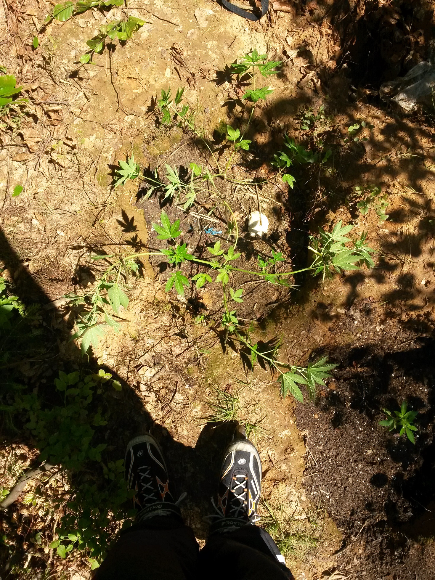 20160630_113344.jpg
